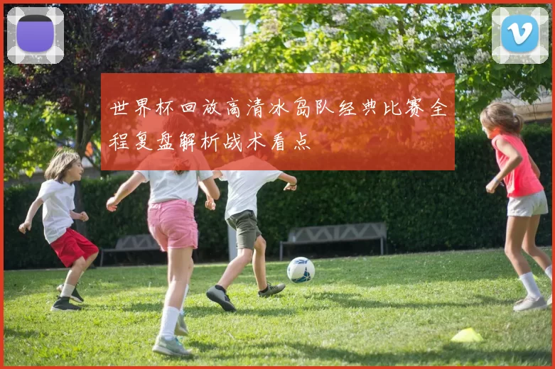 世界杯回放高清冰岛队经典比赛全程复盘解析战术看点