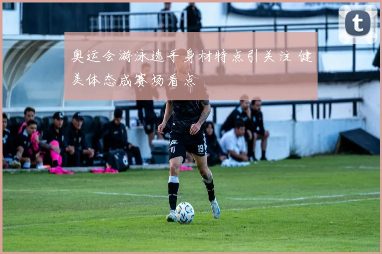 奥运会游泳选手身材特点引关注 健美体态成赛场看点
